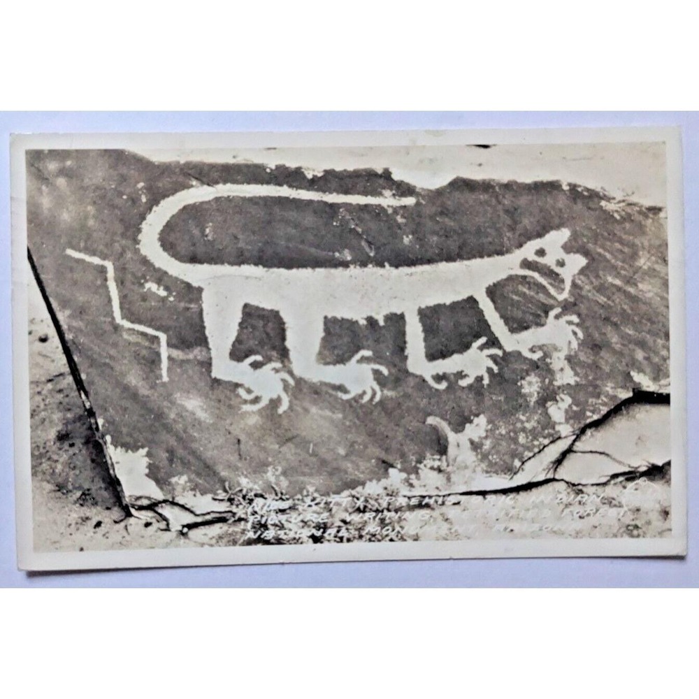 Cat Petroglyph Pictograph Petrified Forest National Monument Arizona RPPC c1940s